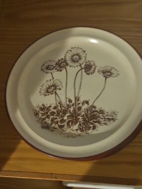 Noritake Stoneware Desert Flowers . 6 Desert Plates. 4 Dinner Plates. 10 Bowls